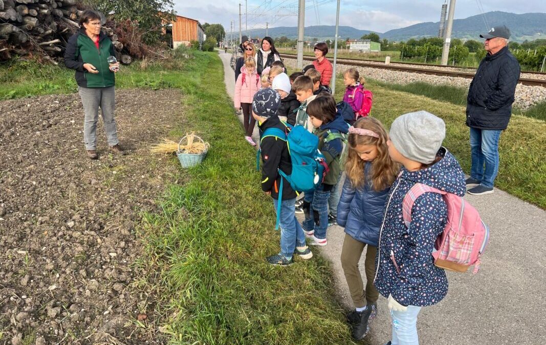 2B-09-2025-Lehrausgang-Bauernhof