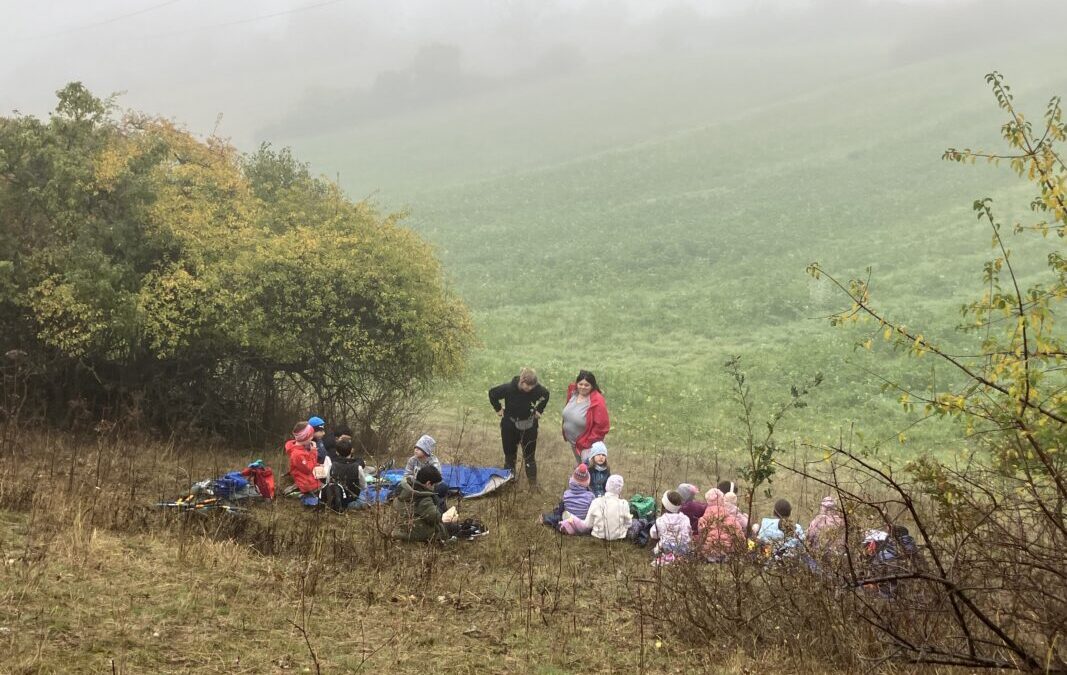 3A-10-2025-Trockenrasenpflege