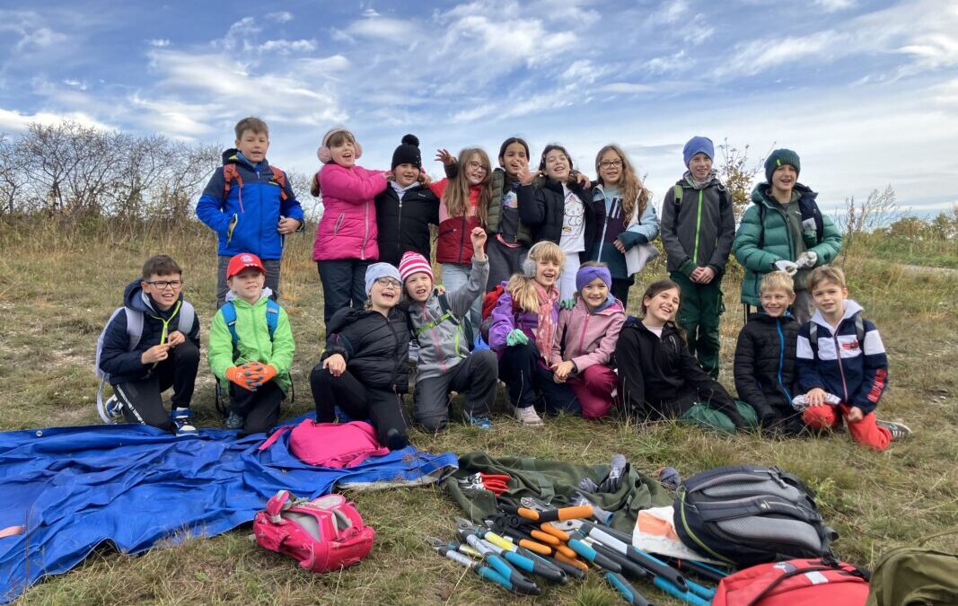 3B-10-2025-Trockenrasenpflege