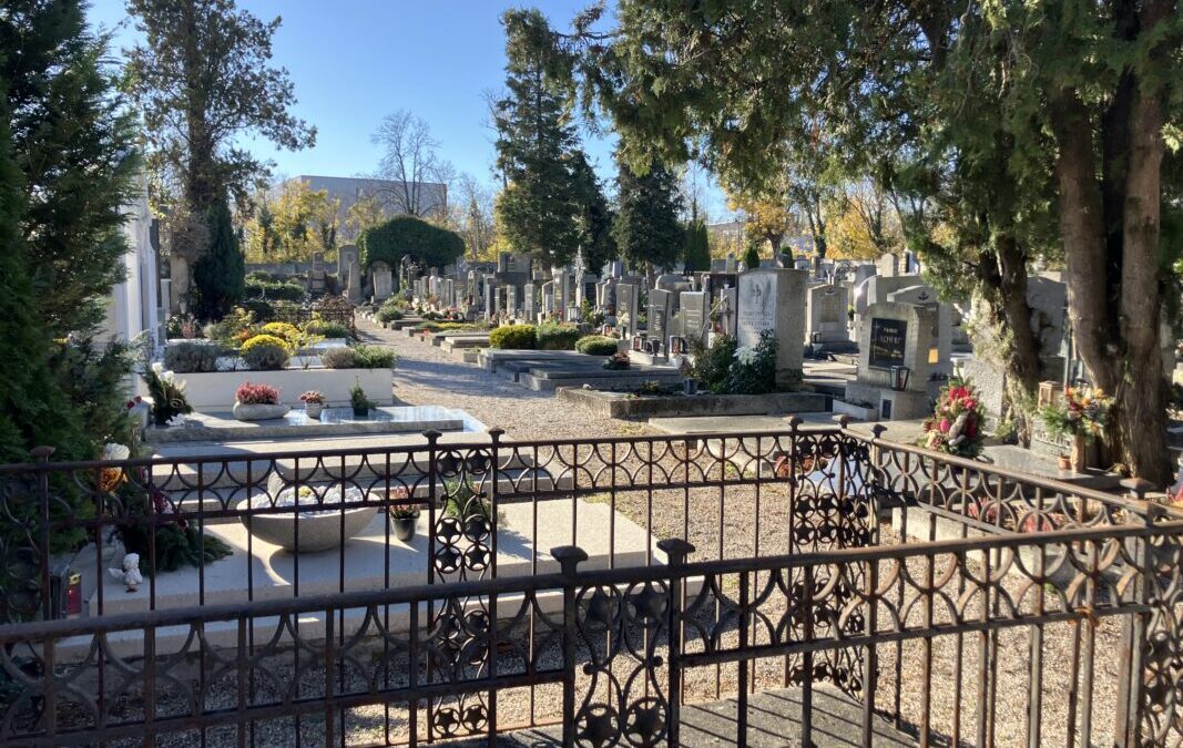 3A-3B-11-2025-Auf-dem-Friedhof