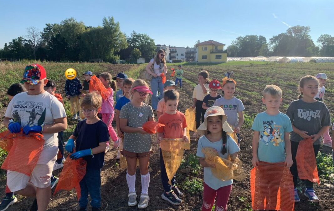 09-2025-1a-Kartoffelernte