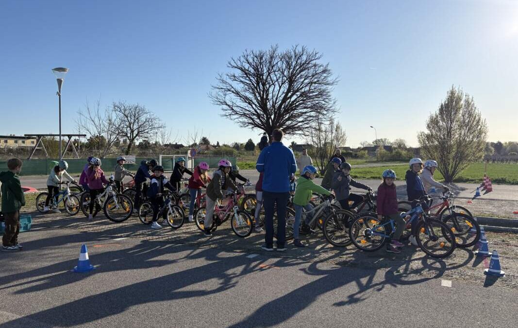 3B-04-2026-AUVA-Radfahrworkshop