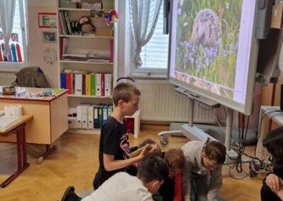 Tierschutz in der Schule