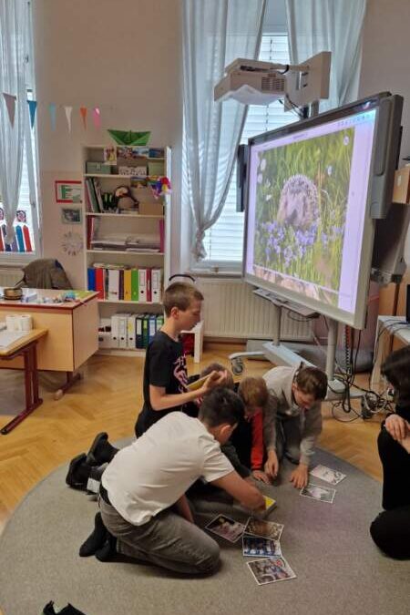 Tierschutz in der Schule