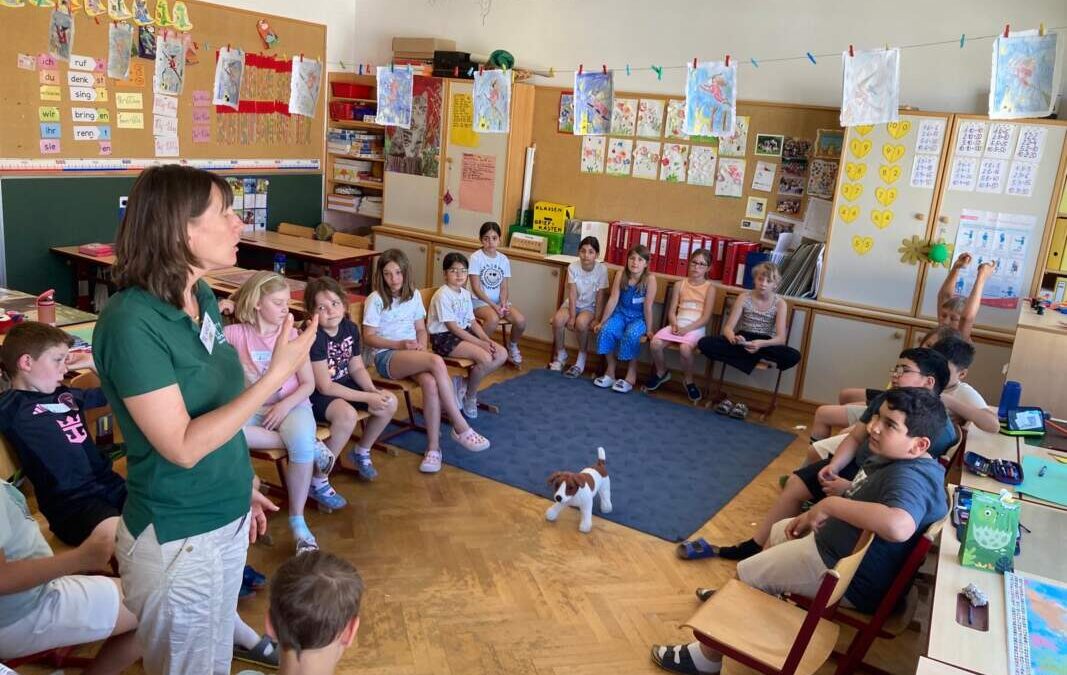 3A-05-2026-Wuffzack-Workshop