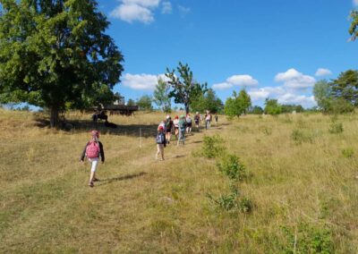 Sommerhort Woche 3